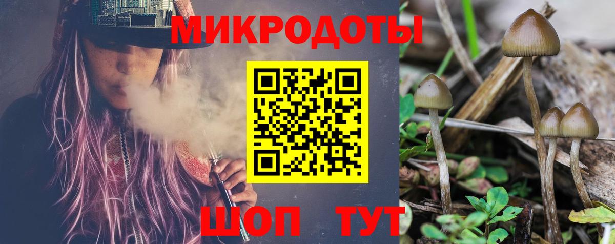 Псилоцибиновые грибы Cubensis  Псилоцибиновые грибы Psilocybine cubensis  наркота  Вход с VPN  Назарово 